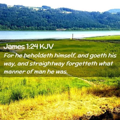 Picture 02 - James 1:24 KJV - For he beholdeth himself, and goeth his way, and - Bible Verse Picture