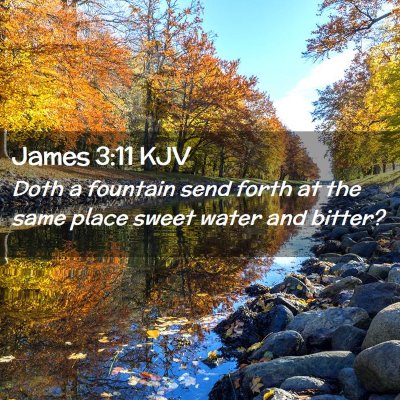 Picture 02 - James 3:11 KJV - Doth a fountain send forth at the same place - Bible Verse Picture