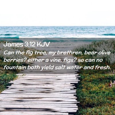 Picture 02 - James 3:12 KJV - Can the fig tree, my brethren, bear olive - Bible Verse Picture