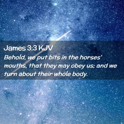Picture 02 - James 3:3 KJV - Behold, we put bits in the horses' mouths, that - Bible Verse Picture