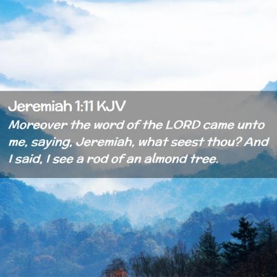 Picture 02 - Jeremiah 1:11 KJV - Moreover the word of the LORD came unto me, - Bible Verse Picture