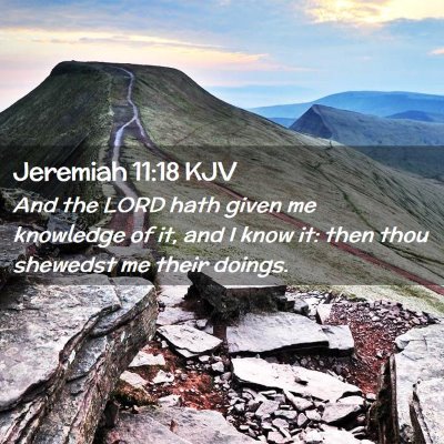 Picture 02 - Jeremiah 11:18 KJV - And the LORD hath given me knowledge of it, and I - Bible Verse Picture