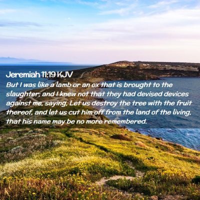 Picture 02 - Jeremiah 11:19 KJV - But I was like a lamb or an ox that is brought to - Bible Verse Picture