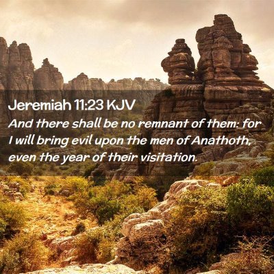 Picture 02 - Jeremiah 11:23 KJV - And there shall be no remnant of them: for I will - Bible Verse Picture