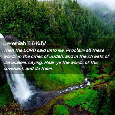 Picture 02 - Jeremiah 11:6 KJV - Then the LORD said unto me, Proclaim all these - Bible Verse Picture