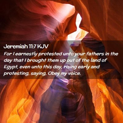 Picture 02 - Jeremiah 11:7 KJV - For I earnestly protested unto your fathers in - Bible Verse Picture