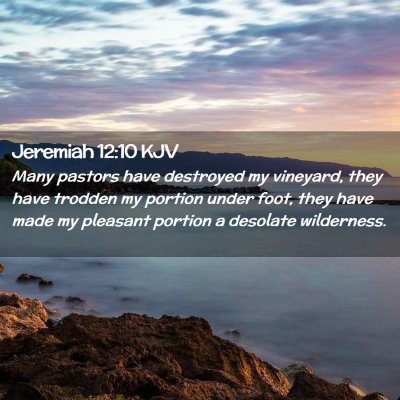 Picture 02 - Jeremiah 12:10 KJV - Many pastors have destroyed my vineyard, they - Bible Verse Picture