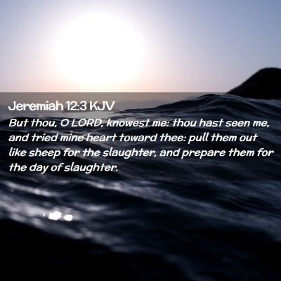 Picture 02 - Jeremiah 12:3 KJV - But thou, O LORD, knowest me: thou hast seen me, - Bible Verse Picture