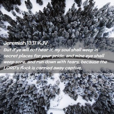 Picture 02 - Jeremiah 13:17 KJV - But if ye will not hear it, my soul shall weep in - Bible Verse Picture