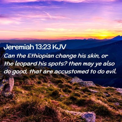 Picture 02 - Jeremiah 13:23 KJV - Can the Ethiopian change his skin, or the leopard - Bible Verse Picture