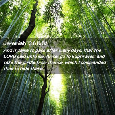 Picture 02 - Jeremiah 13:6 KJV - And it came to pass after many days, that the - Bible Verse Picture