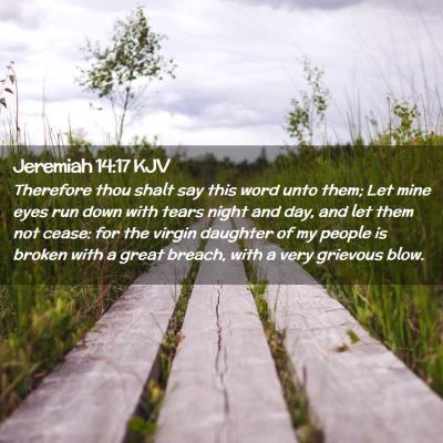 Picture 02 - Jeremiah 14:17 KJV - Therefore thou shalt say this word unto them; Let - Bible Verse Picture