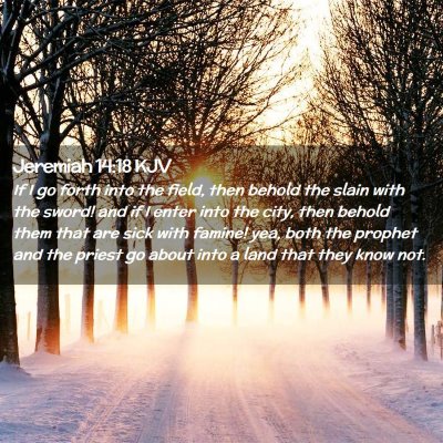 Picture 02 - Jeremiah 14:18 KJV - If I go forth into the field, then behold the - Bible Verse Picture