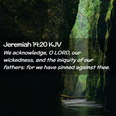 Picture 02 - Jeremiah 14:20 KJV - We acknowledge, O LORD, our wickedness, and the - Bible Verse Picture