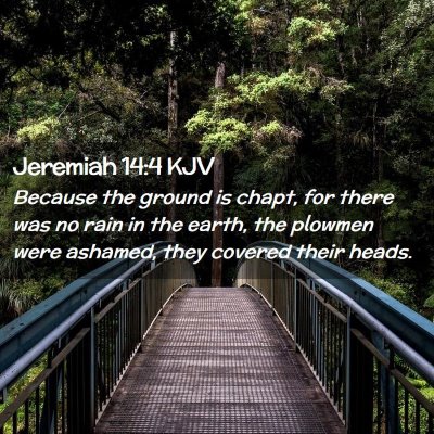Picture 02 - Jeremiah 14:4 KJV - Because the ground is chapt, for there was no - Bible Verse Picture