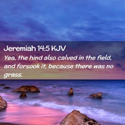Picture 02 - Jeremiah 14:5 KJV - Yea, the hind also calved in the field, and - Bible Verse Picture