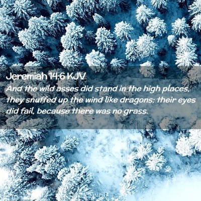 Picture 02 - Jeremiah 14:6 KJV - And the wild asses did stand in the high places, - Bible Verse Picture