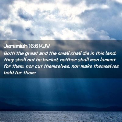 Picture 02 - Jeremiah 16:6 KJV - Both the great and the small shall die in this - Bible Verse Picture
