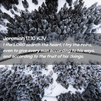Picture 02 - Jeremiah 17:10 KJV - I the LORD search the heart, I try the reins, - Bible Verse Picture