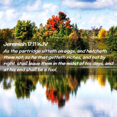 Picture 02 - Jeremiah 17:11 KJV - As the partridge sitteth on eggs, and hatcheth - Bible Verse Picture