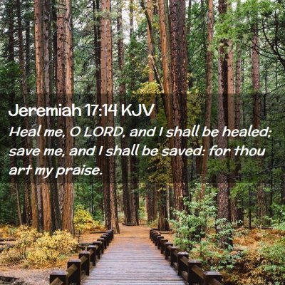 Picture 02 - Jeremiah 17:14 KJV - Heal me, O LORD, and I shall be healed; save me, - Bible Verse Picture