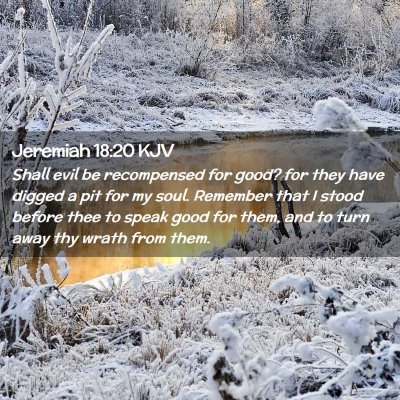 Picture 02 - Jeremiah 18:20 KJV - Shall evil be recompensed for good? for they have - Bible Verse Picture