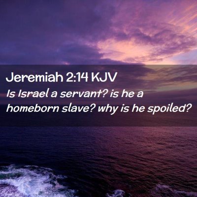 Picture 02 - Jeremiah 2:14 KJV - Is Israel a servant? is he a homeborn slave? why - Bible Verse Picture