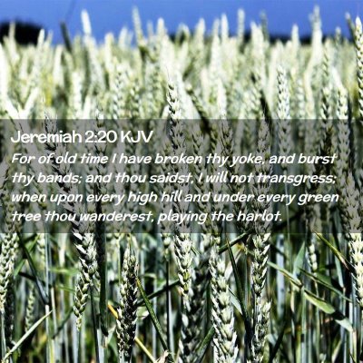 Picture 02 - Jeremiah 2:20 KJV - For of old time I have broken thy yoke, and burst - Bible Verse Picture