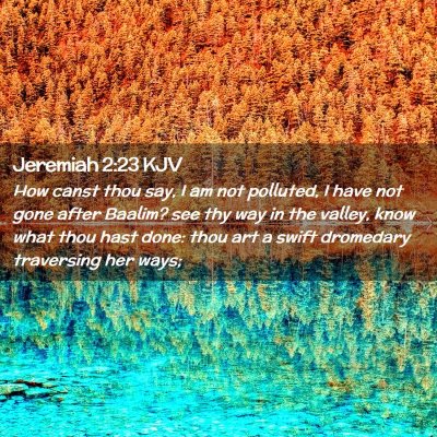 Picture 02 - Jeremiah 2:23 KJV - How canst thou say, I am not polluted, I have not - Bible Verse Picture