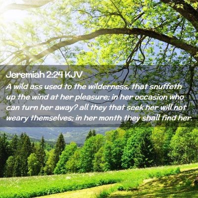 Picture 02 - Jeremiah 2:24 KJV - A wild ass used to the wilderness, that snuffeth - Bible Verse Picture