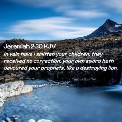 Picture 02 - Jeremiah 2:30 KJV - In vain have I smitten your children; they - Bible Verse Picture
