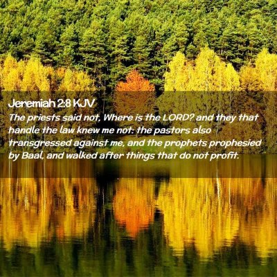 Picture 02 - Jeremiah 2:8 KJV - The priests said not, Where is the LORD? and they - Bible Verse Picture