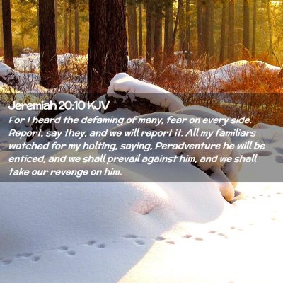 Picture 02 - Jeremiah 20:10 KJV - For I heard the defaming of many, fear on every - Bible Verse Picture