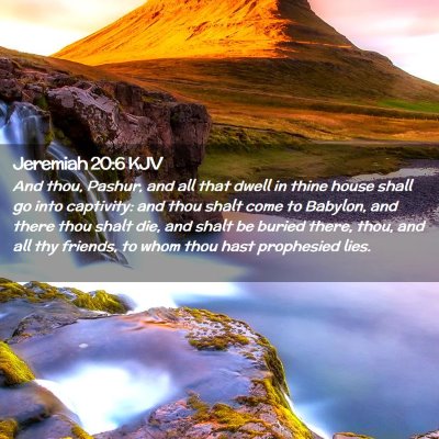 Picture 02 - Jeremiah 20:6 KJV - And thou, Pashur, and all that dwell in thine - Bible Verse Picture
