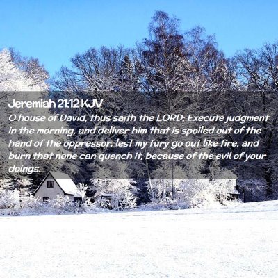 Picture 02 - Jeremiah 21:12 KJV - O house of David, thus saith the LORD; Execute - Bible Verse Picture