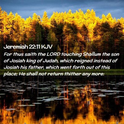 Picture 02 - Jeremiah 22:11 KJV - For thus saith the LORD touching Shallum the son - Bible Verse Picture