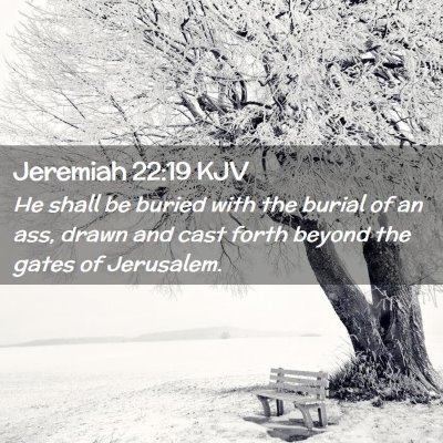 Picture 02 - Jeremiah 22:19 KJV - He shall be buried with the burial of an ass, - Bible Verse Picture