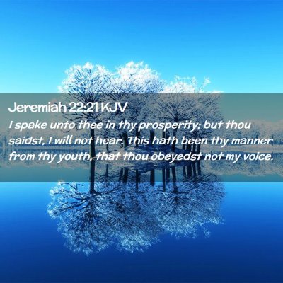 Picture 02 - Jeremiah 22:21 KJV - I spake unto thee in thy prosperity; but thou - Bible Verse Picture
