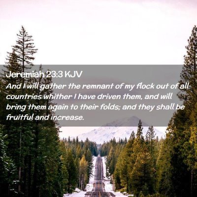 Picture 02 - Jeremiah 23:3 KJV - And I will gather the remnant of my flock out of - Bible Verse Picture