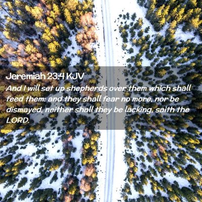 Picture 02 - Jeremiah 23:4 KJV - And I will set up shepherds over them which shall - Bible Verse Picture