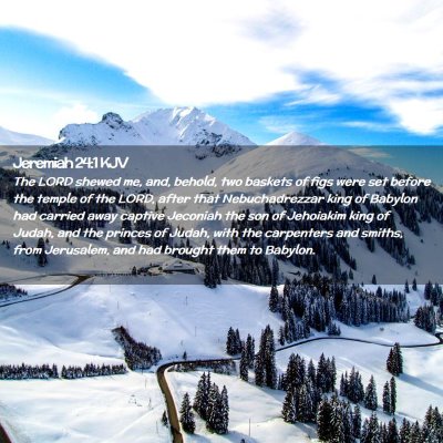 Picture 02 - Jeremiah 24:1 KJV - The LORD shewed me, and, behold, two baskets of - Bible Verse Picture