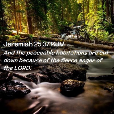 Picture 02 - Jeremiah 25:37 KJV - And the peaceable habitations are cut down - Bible Verse Picture