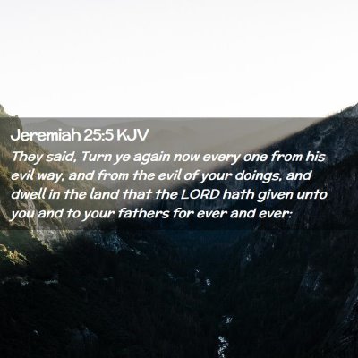 Picture 02 - Jeremiah 25:5 KJV - They said, Turn ye again now every one from his - Bible Verse Picture