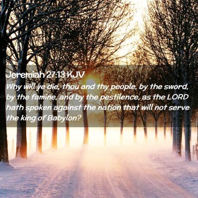 Picture 02 - Jeremiah 27:13 KJV - Why will ye die, thou and thy people, by the - Bible Verse Picture
