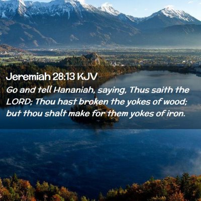 Picture 02 - Jeremiah 28:13 KJV - Go and tell Hananiah, saying, Thus saith the - Bible Verse Picture