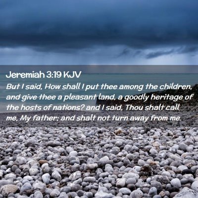 Picture 02 - Jeremiah 3:19 KJV - But I said, How shall I put thee among the - Bible Verse Picture