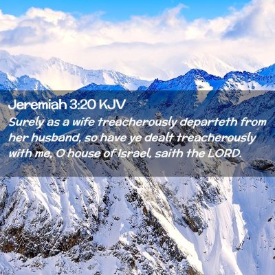 Picture 02 - Jeremiah 3:20 KJV - Surely as a wife treacherously departeth from her - Bible Verse Picture