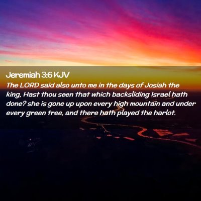 Picture 02 - Jeremiah 3:6 KJV - The LORD said also unto me in the days of Josiah - Bible Verse Picture