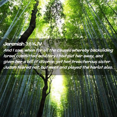 Picture 02 - Jeremiah 3:8 KJV - And I saw, when for all the causes whereby - Bible Verse Picture