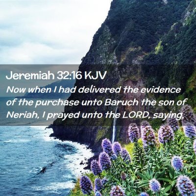 Picture 02 - Jeremiah 32:16 KJV - Now when I had delivered the evidence of the - Bible Verse Picture